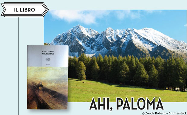 ahi, paloma