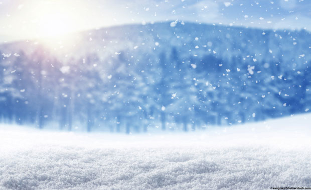 neve