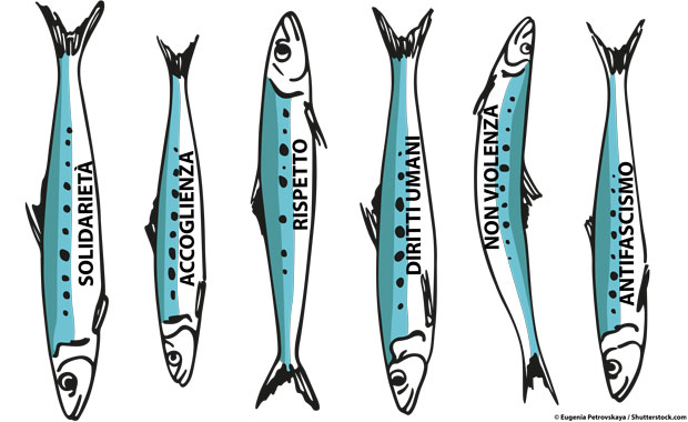 sardine