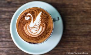 Cappuccino Latte Arte Schwan