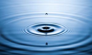 Wasser