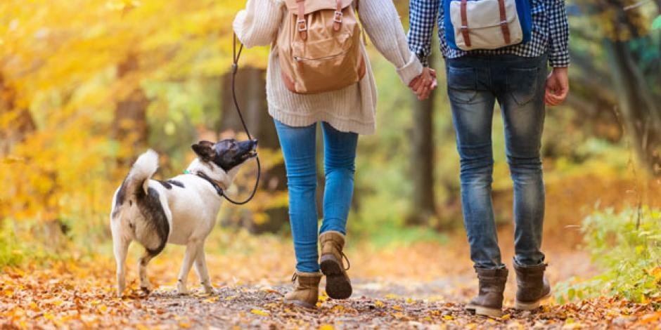 passeggiata autunno