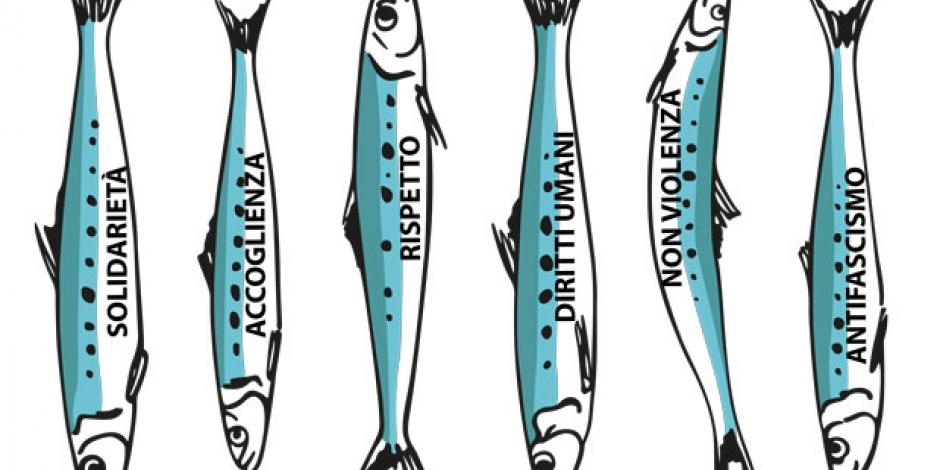 sardine