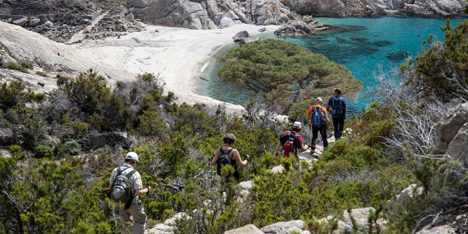 Isola di Montecristo