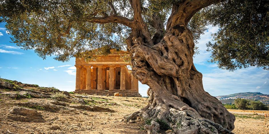 Agrigento