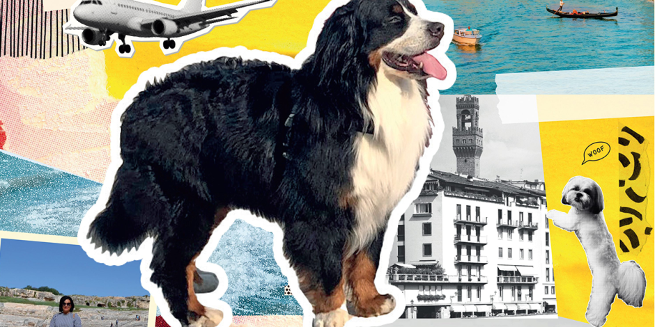 cane in vacanza