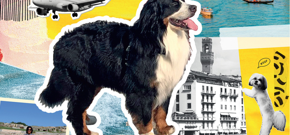 cane in vacanza