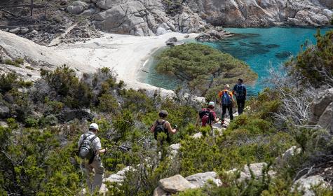 Isola di Montecristo