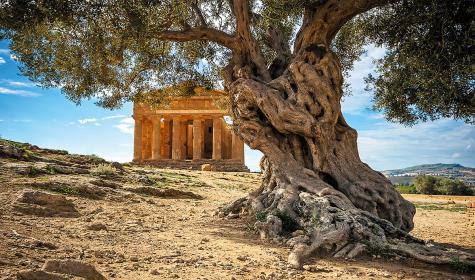 Agrigento